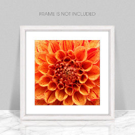 Nah-Orange-Blume-Poster Poster