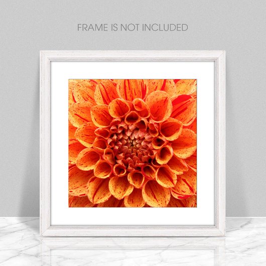 Nah-Orange-Blume-Poster Poster