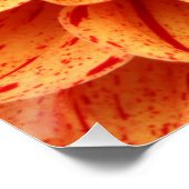 Nah-Orange-Blume-Poster Poster (Ecke)