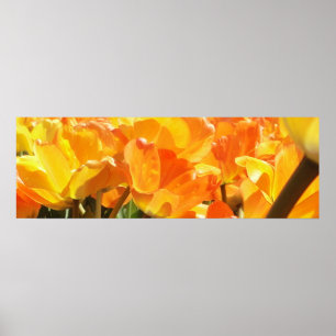 Nah-Orange- und Gelbtulpen Poster
