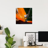 Nah paradieren poster (Heimbüro)