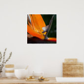 Nah paradieren poster (Küche)