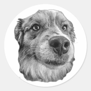 Nah und logisch runder aufkleber