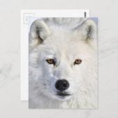 nah und persönlich.jpg postkarte (Vorne/Hinten)