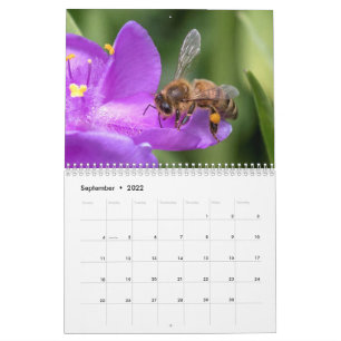 Nah und persönlich mit dem Bienen-Foto Kalender