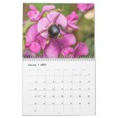 Nah und persönlich mit dem Bienen-Foto Kalender (Jan 2027)