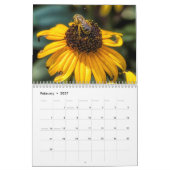 Nah und persönlich mit dem Bienen-Foto Kalender (Feb 2027)