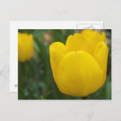 Nah und persönlich postkarte (Vorne/Hinten)