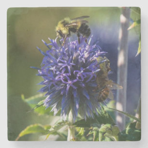 Nah Up a Bee on a Lila/Blue Blume Steinuntersetzer