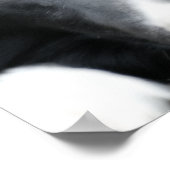 Nah Up Black Border Collie Dog Face Poster (Ecke)