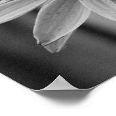 Nah Up Butterfly Poster (Ecke)