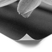 Nah Up Butterfly Poster (Ecke)