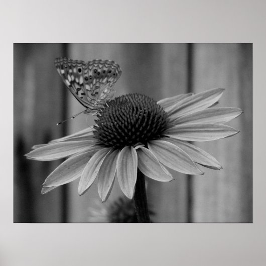 Nah Up Butterfly Poster (Vorne)