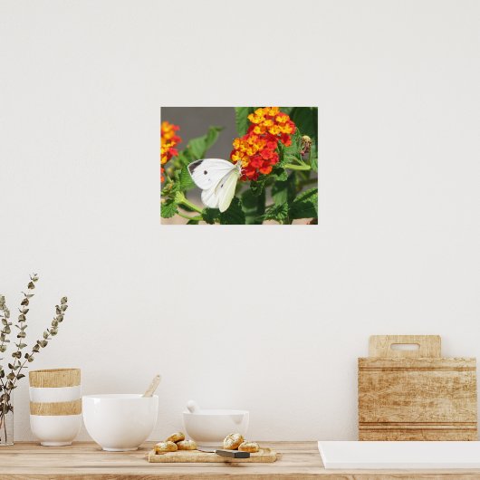 Nah Up Butterfly Poster (Küche)