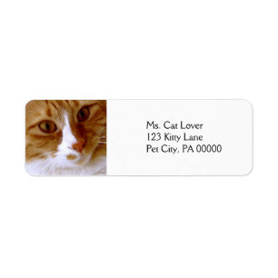 Nah Up Cat-Rücksendeadressen-Aufkleber