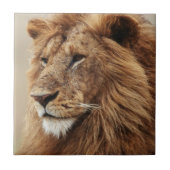 Nah-up der männlichen Löwe Fliese (Vorderseite)