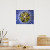 Nah-up der tönigen Leidenschaft Blume. Guthaben wi Poster (Küche)