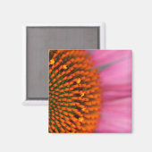 Nah-up einer Kone-Blume im Sommer, Magnet (Vorderseite/Rückseite)
