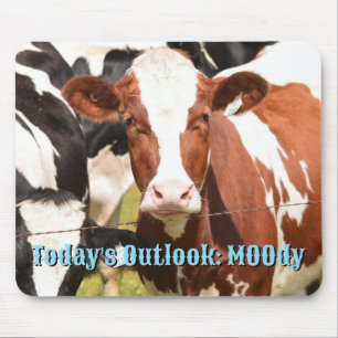 Nah-up Face of Red, White Holstein Dairy Cow Mousepad