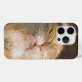 Nah-Up-Foto der reinen Bliss Maine Coon Cat Case-Mate iPhone Hülle (Rückseite (Horizontal))