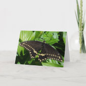 Nah-Up-Foto mit Gepunkteter Schwarzgelbe Schmetter Karte (Vorderseite)