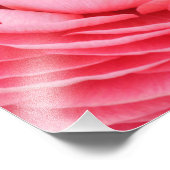 Nah-up-Foto mit rosa Blume Fotodruck (Ecke)