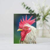 Nah-up-Foto Postkarte (Stehend Vorderseite)