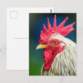 Nah-up-Foto Postkarte (Vorne/Hinten)