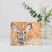 Nah-up-Foto Postkarte (Stehend Vorderseite)