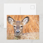 Nah-up-Foto Postkarte (Vorne/Hinten)