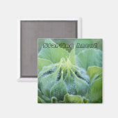 Nah-Up-Foto von Dew Moistned Sunflower Bud Magnet (Vorderseite/Rückseite)
