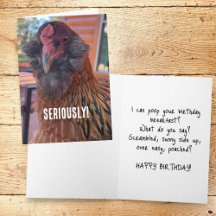 Nah-Up-Foto von Funny Chicken Head