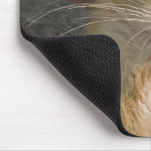 Nah-Up-Foto von Red Maine Coon Cat Mousepad (Ecke)