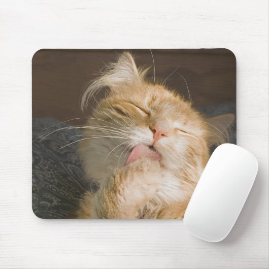 Nah-Up-Foto von Red Maine Coon Cat Mousepad (Mit Mouse)
