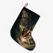 NAH-UP-FOTOGRAFIE DER GRAUTABBY-KATZE KLEINER WEIHNACHTSSTRUMPF (Vorderansicht (hängend))