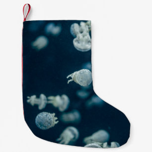 NAH-UP-FOTOGRAFIE VON JELLYFISH KLEINER WEIHNACHTSSTRUMPF