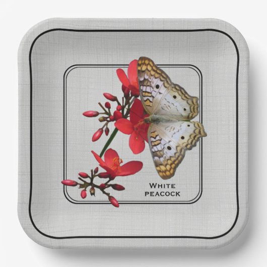 Nah-up Fotografie von White Peacock Butterfly Pappteller (Vorderseite)