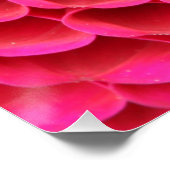 Nah-up Hot-Pink-Blume-Poster Poster (Ecke)