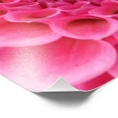 Nah-up Levi's melon (rosa Blume) Fotodruck (Ecke)