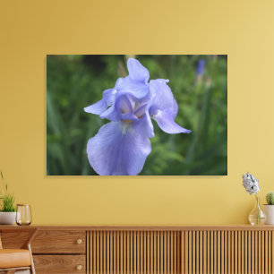 Nah-up Lila Iris Blume Leinwand