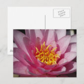 Nah up Lilly Postkarte (Vorne/Hinten)