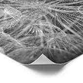 Nah Up Macro Dandelion Puffball Nature Poster (Ecke)