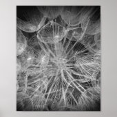 Nah Up Macro Dandelion Puffball Nature Poster (Vorne)
