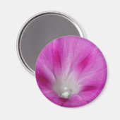 Nah-up Morning Glory Magnet (Vorderseite/Rückseite)