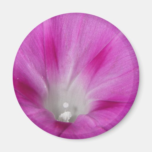 Nah-up Morning Glory Magnet (Vorne)