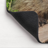 Nah Up Niedlich Baby Woodchuck Groundhog Mousepad (Ecke)