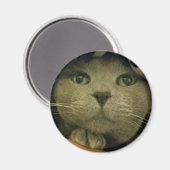 Nah-up Niedlich Kitty Face Magnet (Vorderseite/Rückseite)