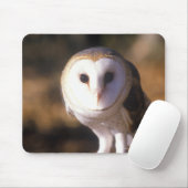 "Nah-up of Barn Owl, Land between Lake, KY" Mousepad (Mit Mouse)
