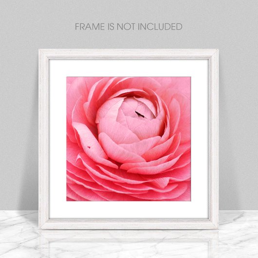 Nah-up-Pink-Blume-Poster Poster