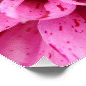 Nah-up-Pink-Blume-Poster Poster (Ecke)
